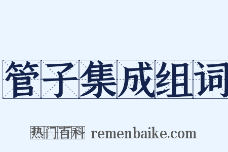 管子集成组词是什么意思的图片